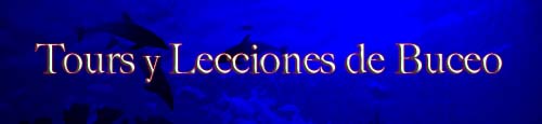 Tours y Lecciones de Buceo