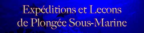 Expéditions et Lecons de Plongée Sous-Marine