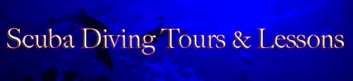 Discover the Ocean - Scuba Diving Tours & Lessons